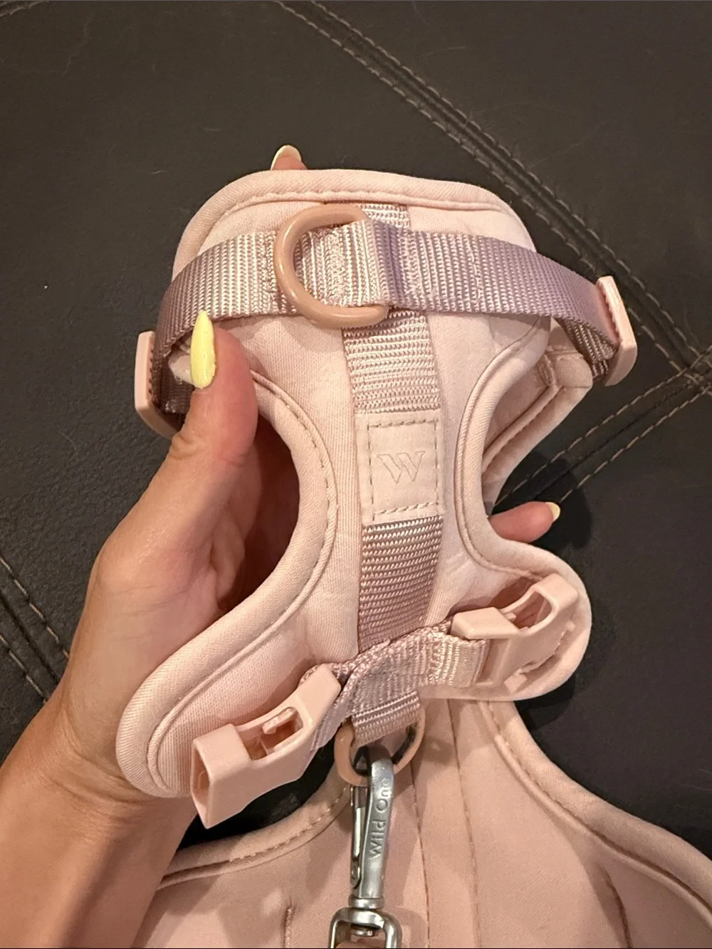 Wild One Pink Small Dog Harness, Leash, and Poop bag holder